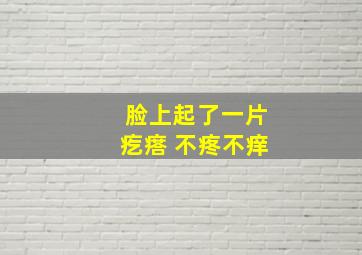 脸上起了一片疙瘩 不疼不痒